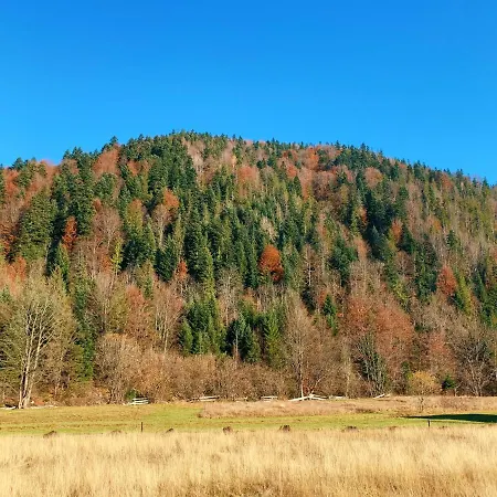 заріна Вілла